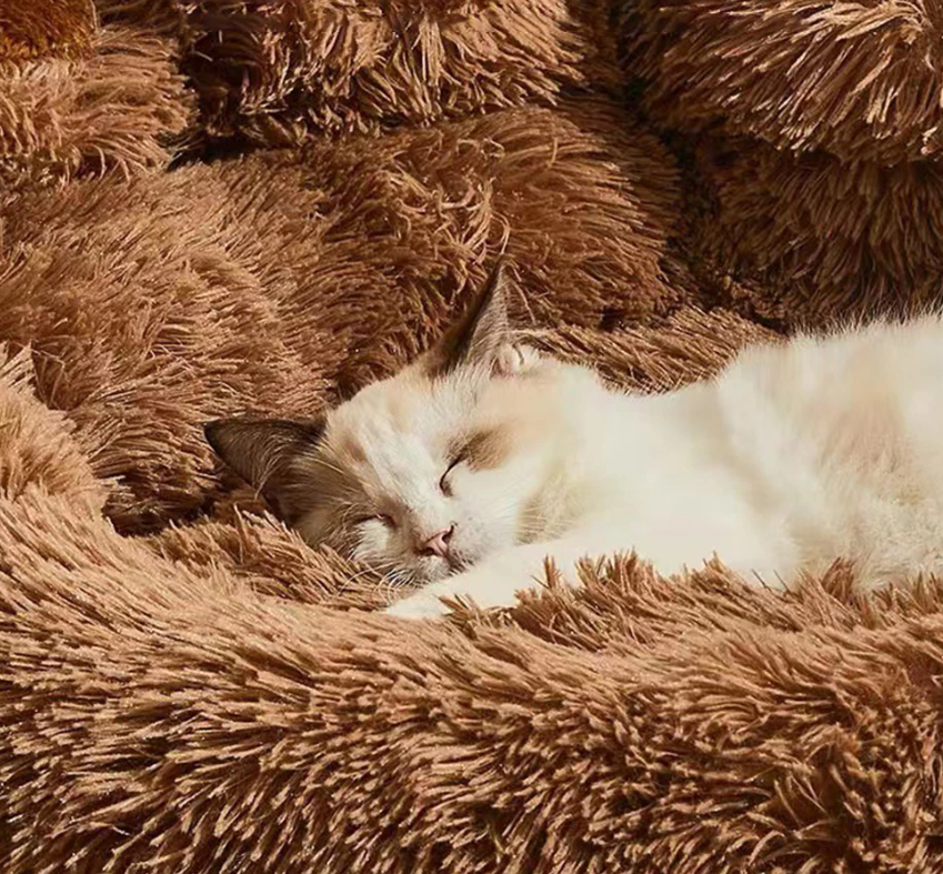 Fluffy Paw Dog Bed